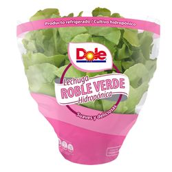 Lechuga Hidropónica Roble Verde