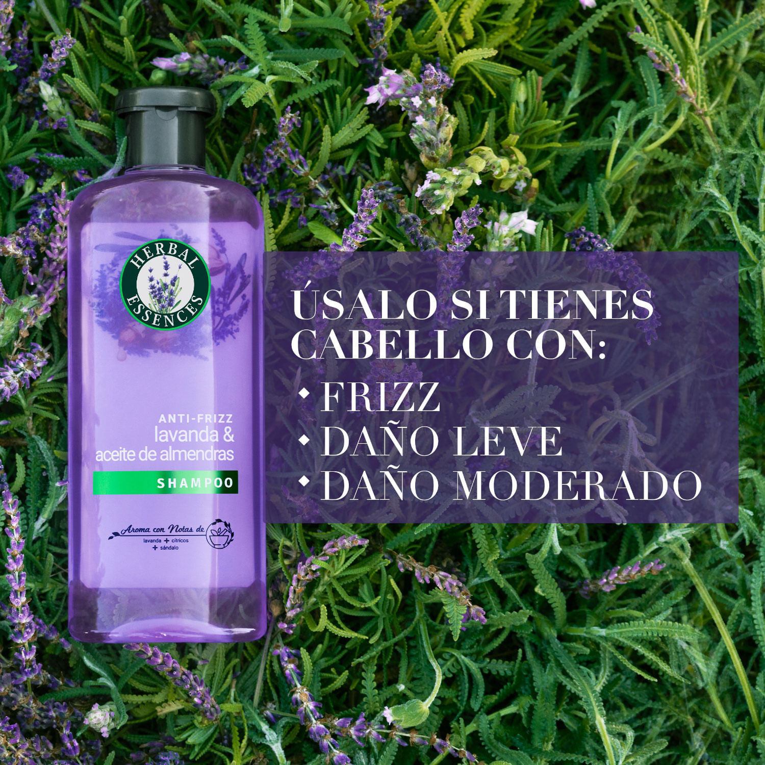 Shampoo Herbal Classic Antifrizz Lavanda & Almendras 400 ml