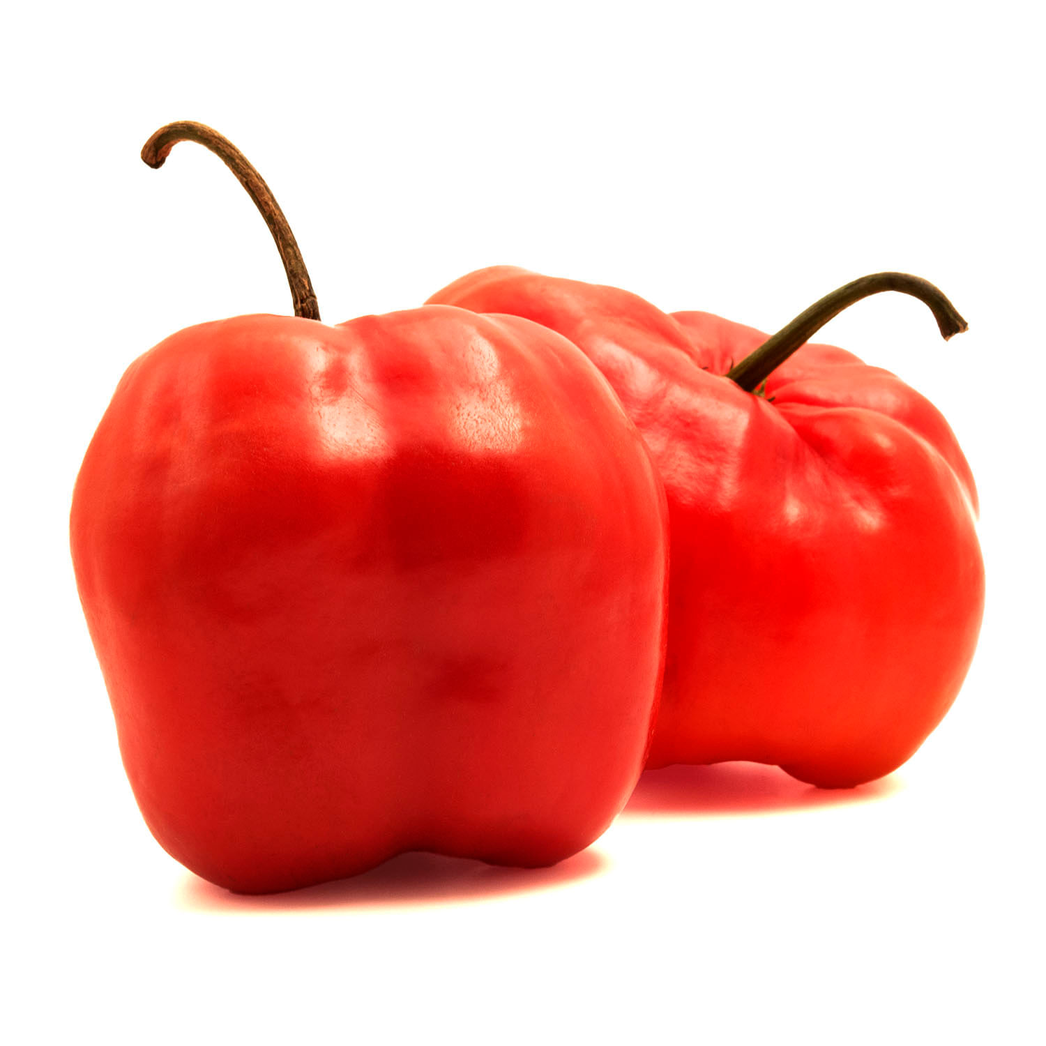 Ají Rocoto 5 un.