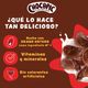 Cereal Chocapic Receta Original 310 g - imagen 4