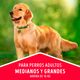 Alimento Perro Adulto Dog Chow Razas Medianas y Grandes 10 + 2 kg - imagen 3