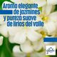 Desodorante Ambiental Glade Jazmine Spray 400 ml - imagen 5