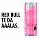 Bebida Energética Red Bull Summer Edition Sabor Frutos del Bosque 250 cc - imagen 3